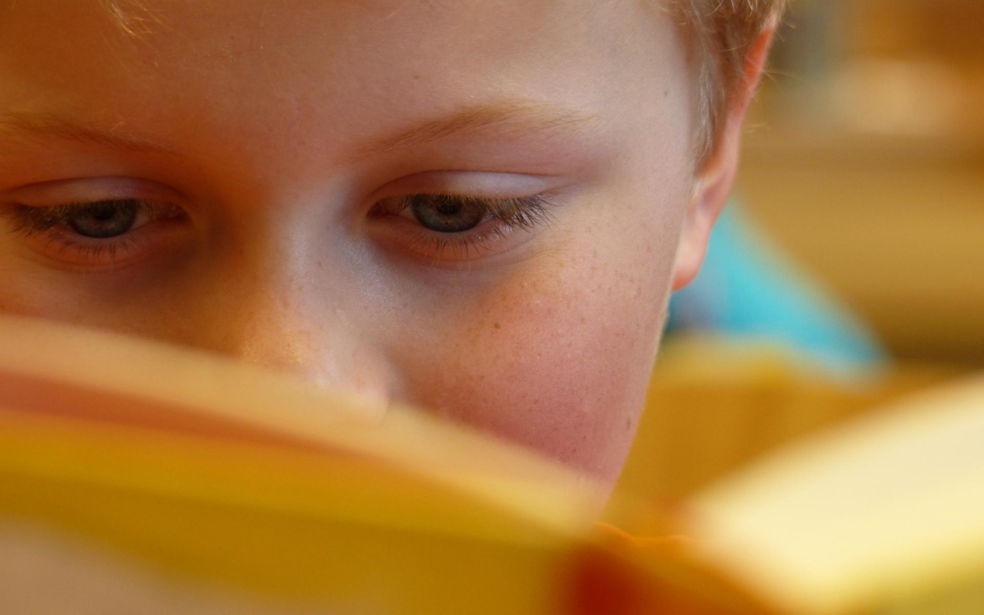 Bub von vorne fotografiert mit aufgeschlagenem Buch, welches das halbe Gesicht verdeckt