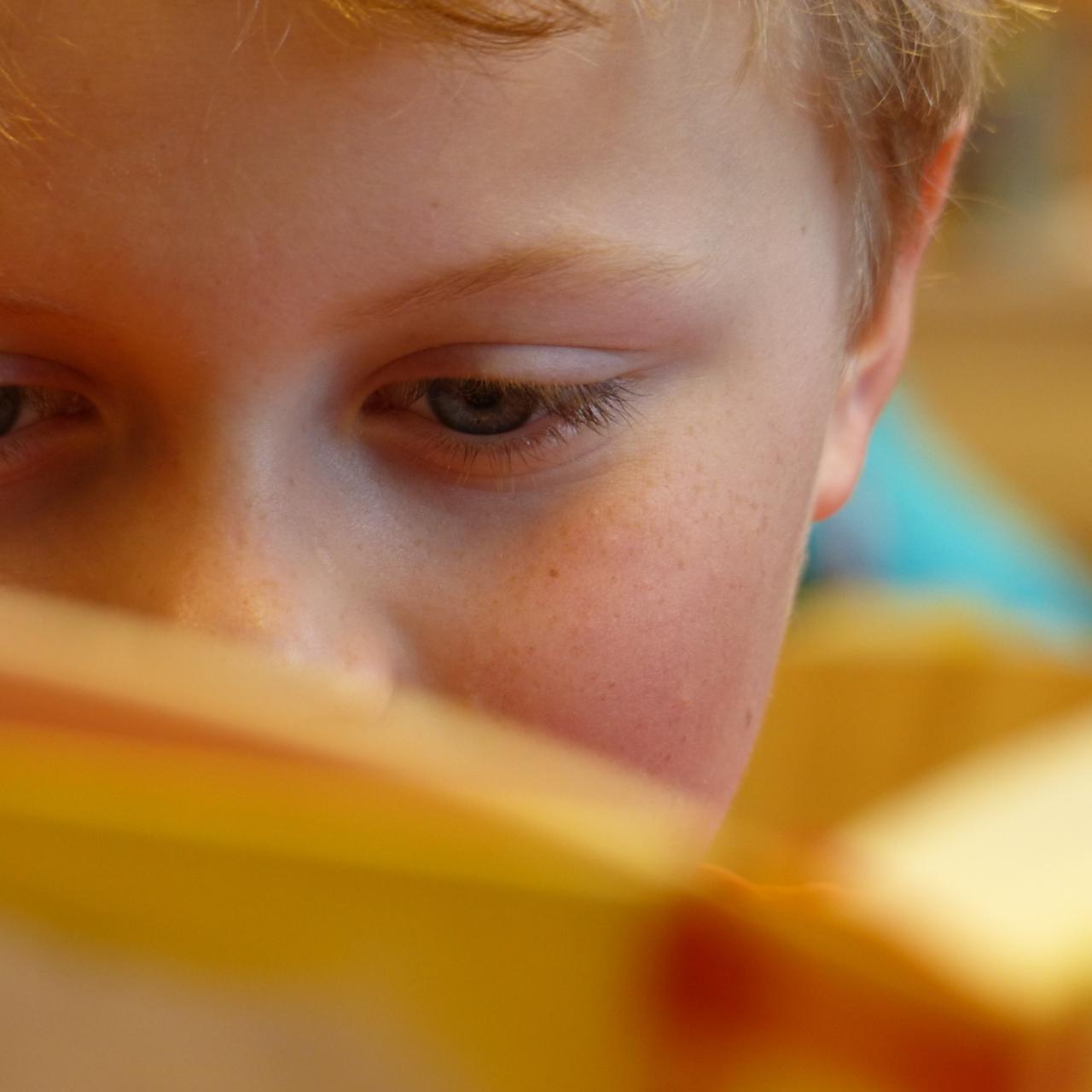 Bub von vorne fotografiert mit aufgeschlagenem Buch, welches das halbe Gesicht verdeckt
